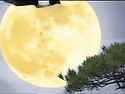한가위