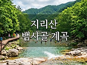[제189차 정기산행] 지리산뱀사골계곡갑니다. 2026년8월16일 일요일 7시