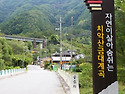 [제 177차 정기산행] 원주 치악산 금대계곡 갑니다. 2025년 8월 17일 ..