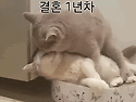 이혼전까지의 실상
