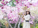 민주공원
