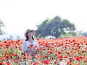 합천2