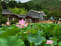 종오정의 여름
