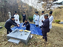 묘사