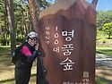 (221차)강원.영월(구봉대산)산행사진(..