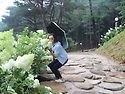 수선사에서