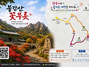 제312차 영광불갑산 정기산행(9월20일)