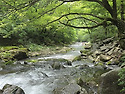 제311차 장수 장안산/덕산계곡 정기산행(8월16일)