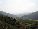 산진처 명당