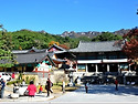 산진처,산끝자락이 명당, 혈을 결지- 산환수포 취기지지