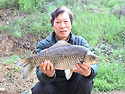손 사장님 54cm 대물붕어