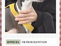 강아지를 찾습니다