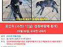 (포인터)울산 울주군 두서면 내와리에서..