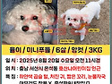 율이를 다시만날수있게 도움이 부탁드립..