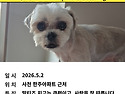 강아지를 찾습니다!!