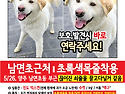 강아지를 찾습니다 사례합니다 제보 꼭..