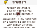 반려동물 장례