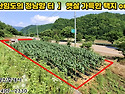 [영월토지 774㎡ // 3천3백만원] 배산임도의 정남향 터, 왕복 2차로변 주말주택지 or 다용도부지..