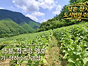 [단양토지 1,314㎡ // 2천9백만원] 얕은 산자락 접근성 좋은 터, 주말주택지 or 체류형쉼터! 전..