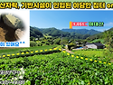 [단양토지 843㎡ // 4천3백만원] 얕은 산자락, 기반시설이 인입된 아담한 집터 or 쉼터! 상수도..