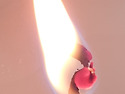 000
