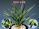 남산관
