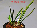 명품 장단엽 서호반