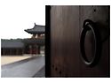 7월 출사 (궁남지 & 백제문화단지)