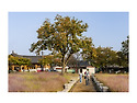 10월 경주