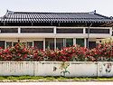 지난 5월 어느날 지나가다 우연히~~