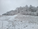 2025 년 12 월 14 일 일요일 장안산