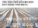 이불처럼 덮은 풀이...