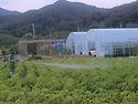 4차 5차 이엠발효액 주기