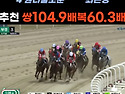 8월9일 일요경마 문자적중: 부경3R 추천경주104.9배 복60.3배 주력 한방..