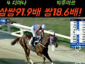 5월25일 일요경마 문자적중: &#128165;서울10R 추천경주 91.9배 18..