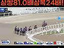 10/25 금요경마,"강력한 승부경마 주간으로 지정!" "월말 부산경마 다적중..