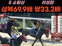 5/3"일요경마 999 폭격" 배당판 찢는 작전!""어린이날 배당 선물" 미친 ..