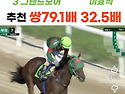 7/3 금요경마! 지난주 "256배·79배" 적중! 7월 첫 승부! 부산에서 판 ..