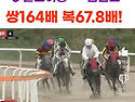 5/26(일)"일요경마, 대승리의 정점을 향해 달려갑니다!""백두대간의 기세를..