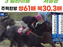 6/26 금요경마 "6월의 마지막 필살 승부!""이번주 큰거 한방 터져줄 타이..