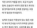 죽어가는 췌장 살리는 음식