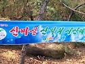 제185차 정기산행 및시사제
