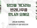 🌿나만의 반려나무 입양하..