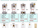 금강샤론 담금주병 선물용 저장용 인삼..