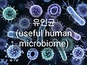 유인균 효능 고밀도 발효 플랫폼의 심장
