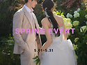 ALL WEDDING X 5월 이벤트 - 대전 ..