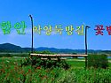 함안 악양 둑방길