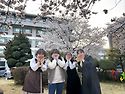 &#127800; 마지막 벚..