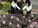 🌸그대들을 향..