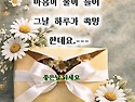 배려 하나에 마음이 물들어..